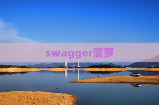 swagger菠萝